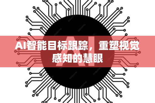 AI智能目标跟踪，重塑视觉感知的慧眼