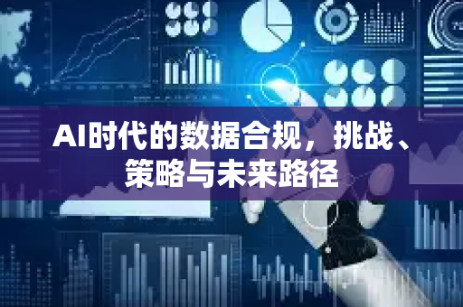 AI时代的数据合规，挑战、策略与未来路径-第1张图片-星博讯网络科技知识-SEO优化技巧|AI知识科普|互联网行业干货大全