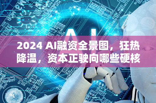 2024 AI融资全景图，狂热降温，资本正驶向哪些硬核深水区？-第1张图片-星博讯网络科技知识-SEO优化技巧|AI知识科普|互联网行业干货大全