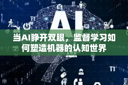 当AI睁开双眼，监督学习如何塑造机器的认知世界-第1张图片-星博讯网络科技知识-SEO优化技巧|AI知识科普|互联网行业干货大全