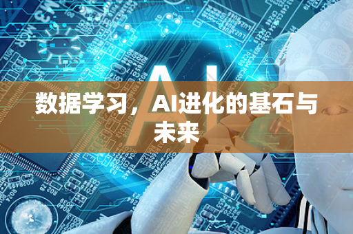 数据学习，AI进化的基石与未来-第1张图片-星博讯网络科技知识-SEO优化技巧|AI知识科普|互联网行业干货大全
