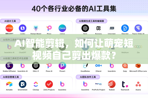 AI智能剪辑，如何让萌宠短视频自己剪出爆款？-第1张图片-星博讯网络科技知识-SEO优化技巧|AI知识科普|互联网行业干货大全