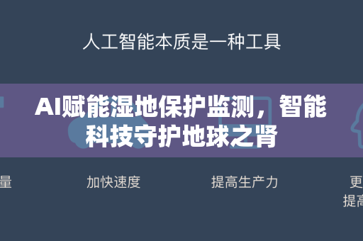 AI赋能湿地保护监测，智能科技守护地球之肾-第1张图片-星博讯网络科技知识-SEO优化技巧|AI知识科普|互联网行业干货大全