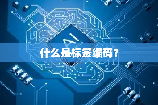 什么是标签编码？-第1张图片-星博讯网络科技知识-SEO优化技巧|AI知识科普|互联网行业干货大全