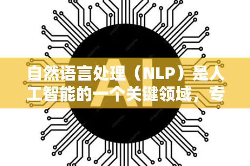 自然语言处理(NLP)是人工智能的一个关键领域,专注于让计算机理解、解释和生成人类语言。它的目标是搭建人与机器之间沟通的桥梁-第1张图片-星博讯网络科技知识-SEO优化技巧|AI知识科普|互联网行业干货大全 自然语言处理(NLP)是人工智能的一个关键领域,专注于让计算机理解、解释和生成人类语言。它的目标是搭建人与机器之间沟通的桥梁-第1张图片-星博讯网络科技知识-SEO优化技巧|AI知识科普|互联网行业干货大全