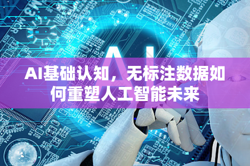 AI基础认知，无标注数据如何重塑人工智能未来-第1张图片-星博讯网络科技知识-SEO优化技巧|AI知识科普|互联网行业干货大全