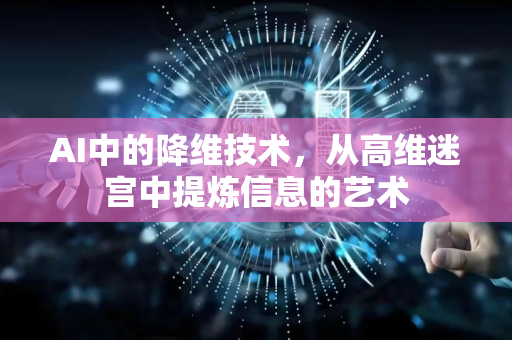AI中的降维技术，从高维迷宫中提炼信息的艺术