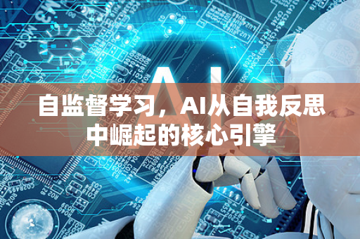 自监督学习，AI从自我反思中崛起的核心引擎-第1张图片-星博讯网络科技知识-SEO优化技巧|AI知识科普|互联网行业干货大全