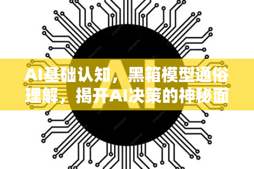 AI基础认知，黑箱模型通俗理解，揭开AI决策的神秘面纱