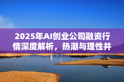 2025年AI创业公司融资行情深度解析，热潮与理性并存